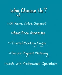 Why choose us?